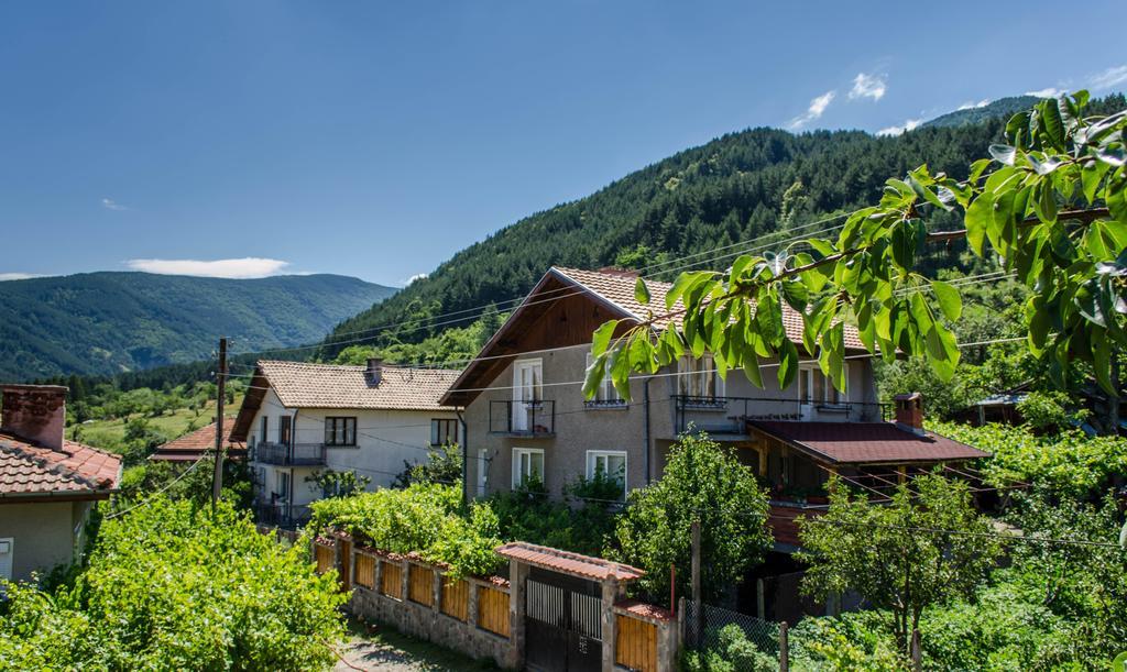 ספרבה בניה Dariya Guest House מראה חיצוני תמונה