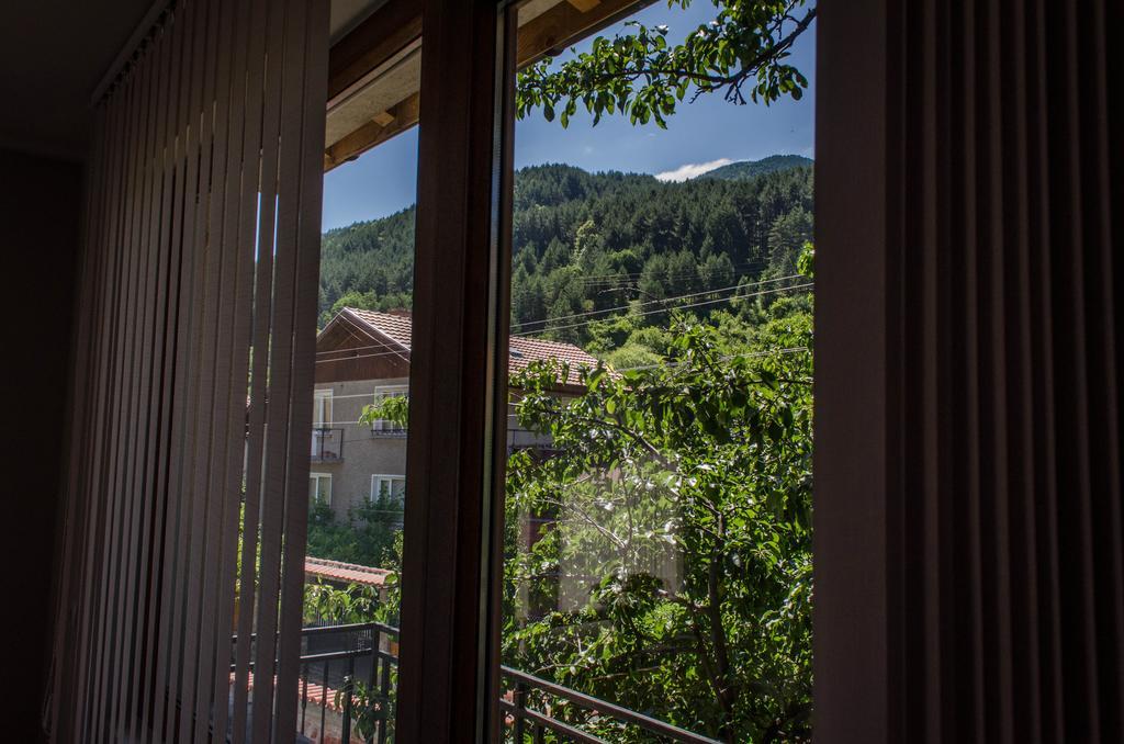 ספרבה בניה Dariya Guest House חדר תמונה